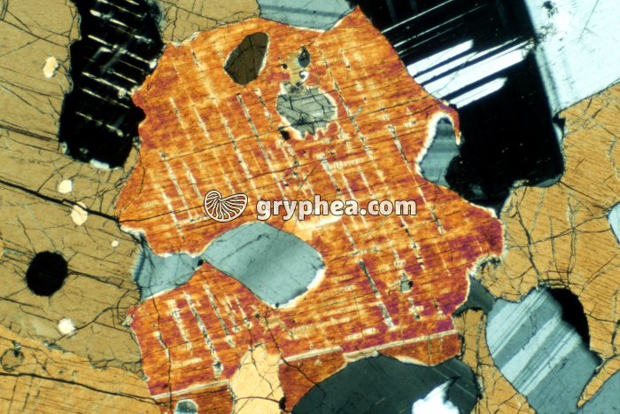 Pyroxène LPA x10 - gryphea.com